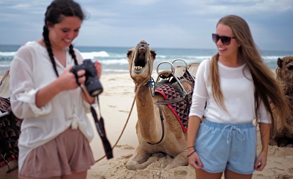 fotos de animais - Camelo