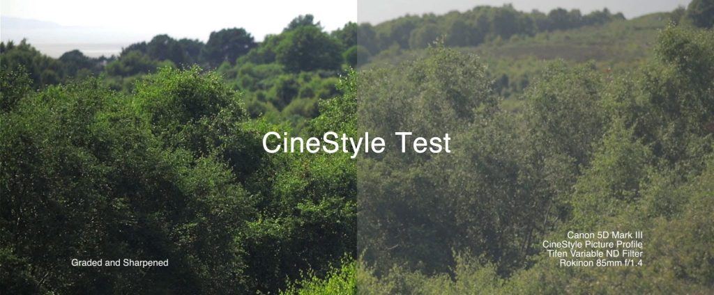 CineStyle - Test