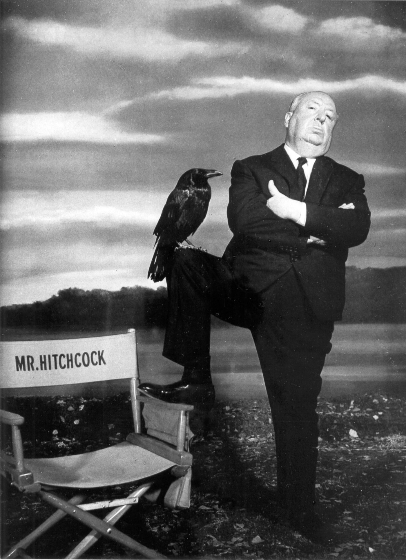 hitchcock bird