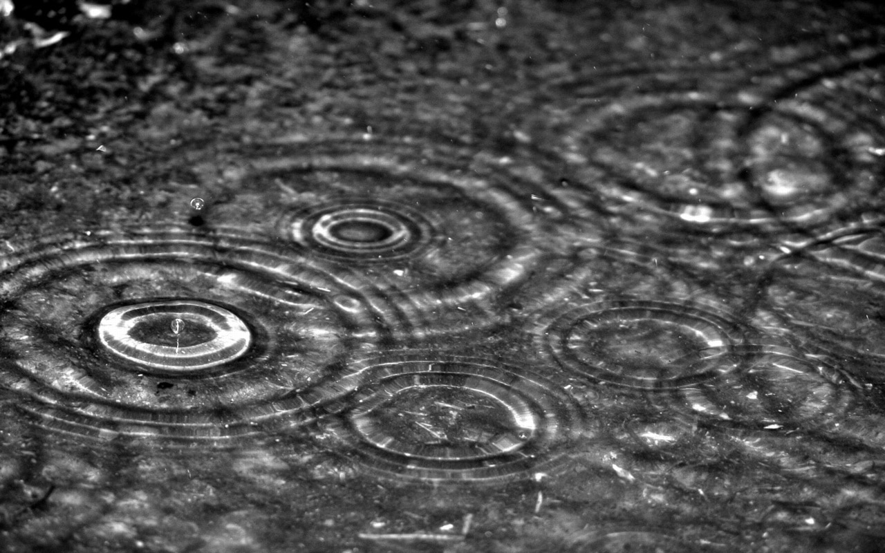 10 dicas para fazer uma fotografia na chuva perfeita