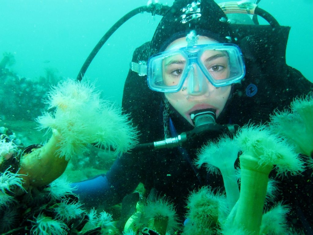 fotos profissionais subaquatica