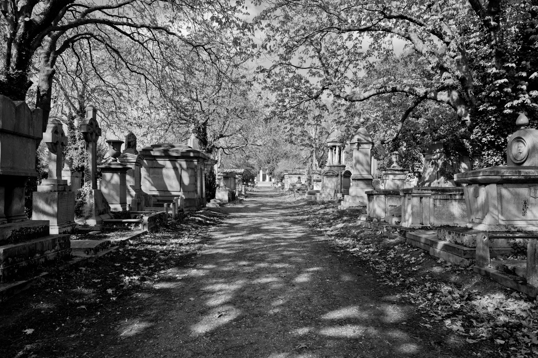 fotografar cemiterios