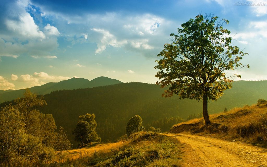 fotografia de paisagem profissional