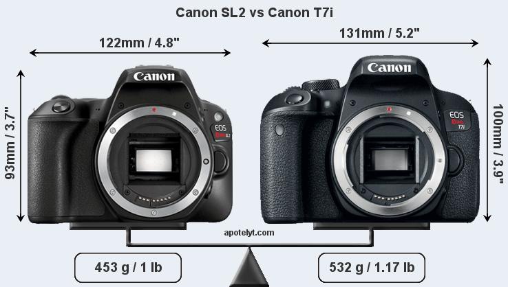 Devo obter o Canon EOS Rebel T7i ou Rebel SL2? 