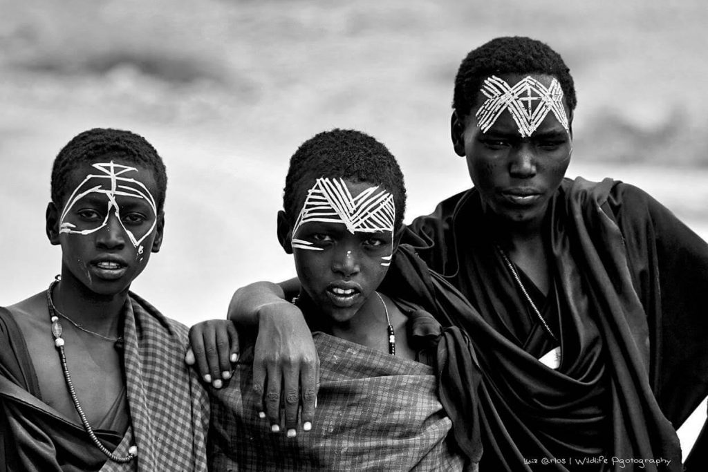Fotógrafo especializado em vida selvagem faz da África seu segundo lar