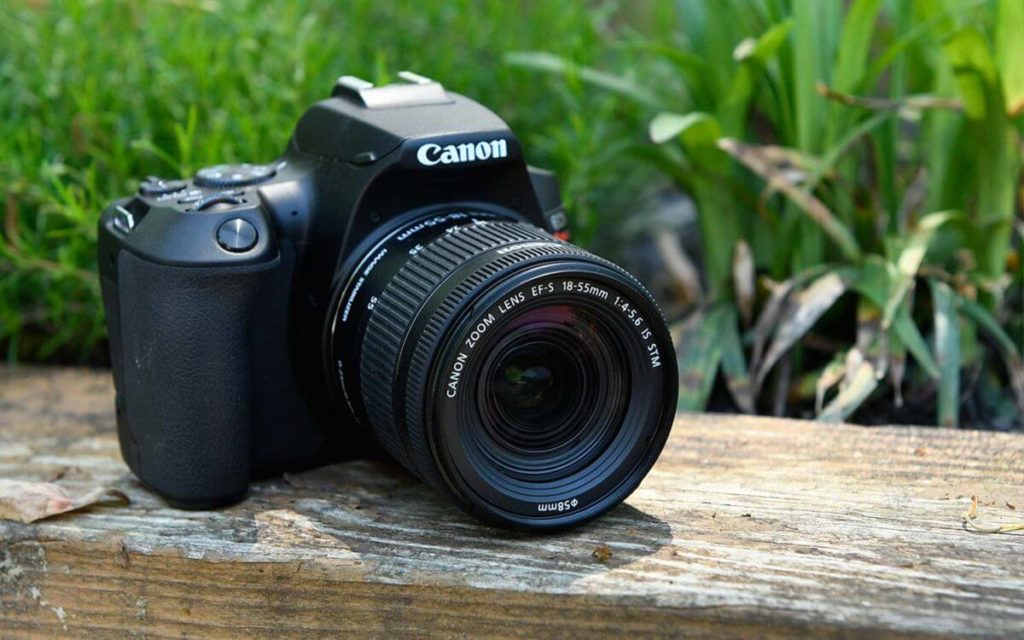 Nova Câmera Canon SL3 uma DSLR para Iniciantes, com vídeo 4K