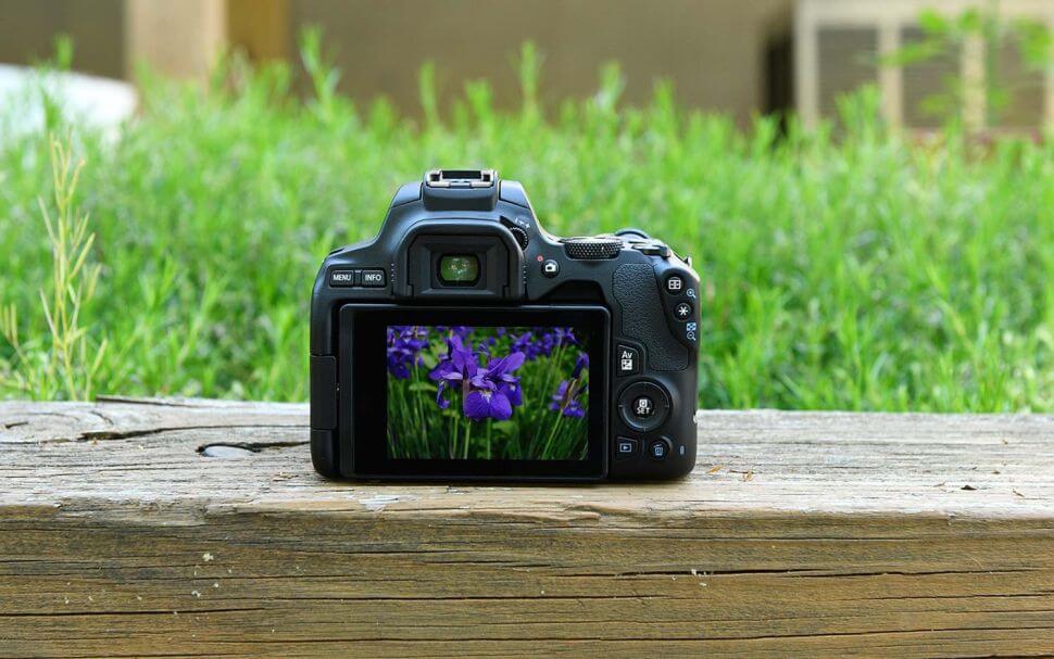 Nova  Câmera Canon SL3 uma DSLR para Iniciante