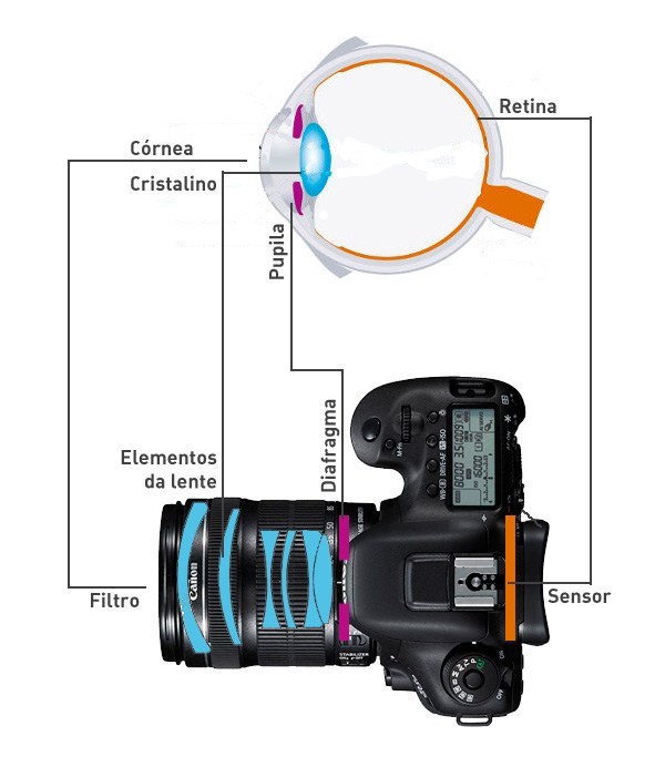 Comparação do olho humano a uma câmera digital.