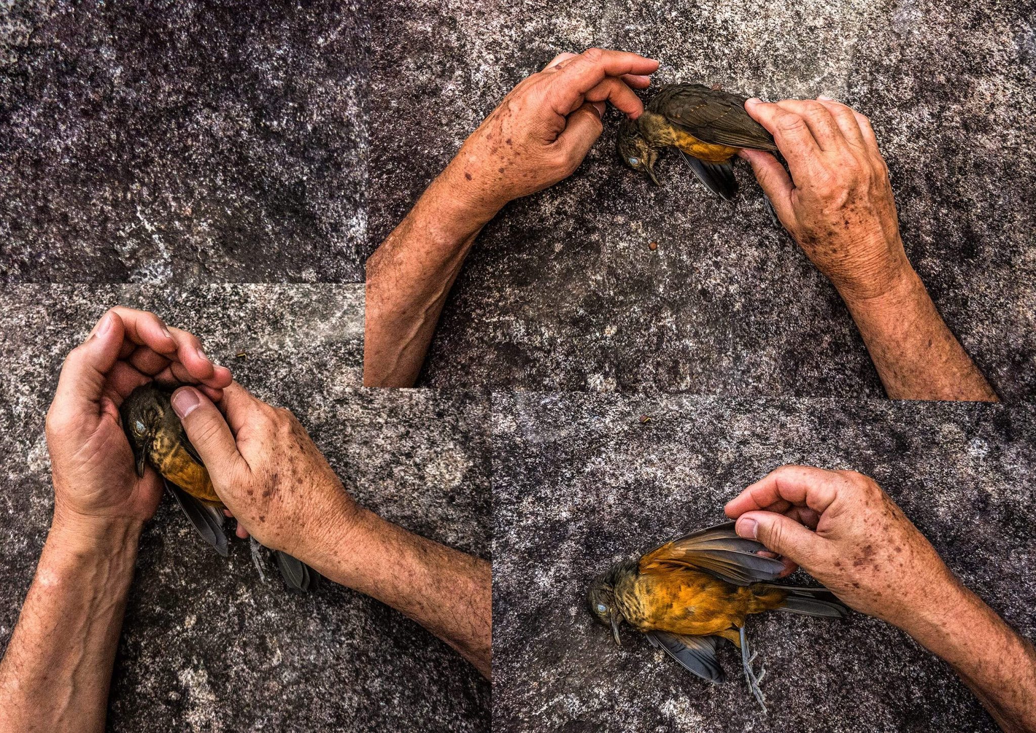 Com o tema [R]Exista!, Fotógrafos em Ouro Preto inicia edição totalmente on-line