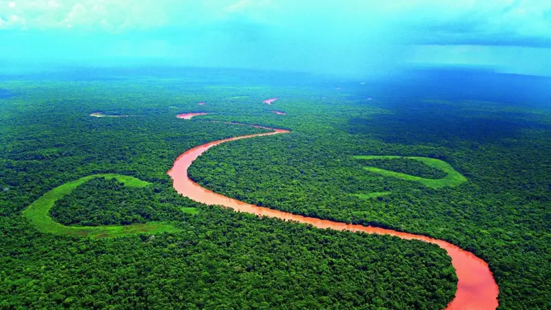 recuperacao-do-pantanal-e-retratada-por-fotografo-brasileiro-blog-emania-capa