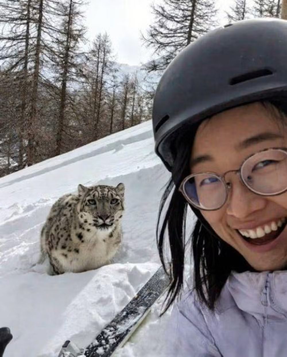 selfie-de-alto-risco-termina-em-ataque-de-leopardo-na-china-blog-emania-interna