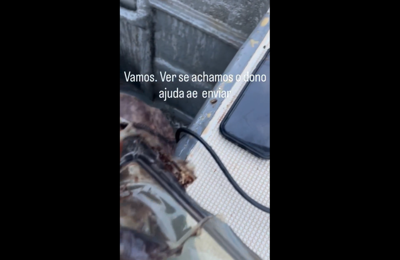 iphone-submerso-17-metros-profundidade-segue-funcionando-blog-emania-interna
